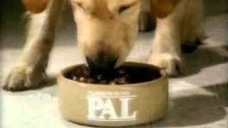 80s UK TV Advert  Pal Dog Food 1 [upl. by Enidualc]