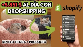 ¿CÓMO FACTURAR 5851 AL DÍA CON DROPSHIPPING  HAZLO TU [upl. by Bonis]