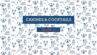 Canines amp Cocktails Episode 15 [upl. by Courtland]