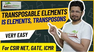 Transposable elements in prokaryotes and eukaryotes  Transposons and jumping genes  IS elements [upl. by Aridatha]