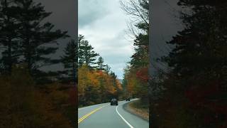 Kancamagus Highway  Fall Season  Passaconaway Road Albany  New Hampshire USA [upl. by Delos]