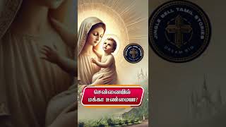 Besant Nagar Church  Velankanni Church Chennai  Mecca in Chennai shortfeed shorts shortvideo [upl. by Cianca]