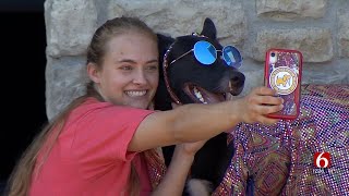 Oklahoma Alliance for Animals Previews Woofstock 2022 [upl. by Nnaes]