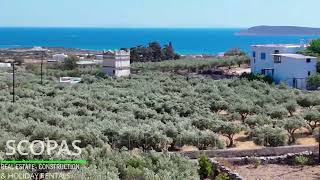 Scopas D436A Land of 3085m2 for sale in Agkairia Paros island Greece [upl. by Adnert]