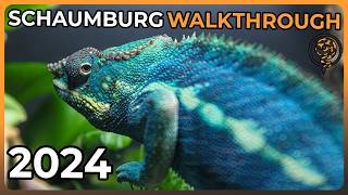 The Full Schaumburg NARBC 2024 Reptile Expo Walkthrough [upl. by Nunnery187]