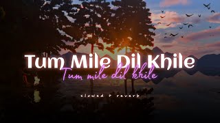 Stebin Ben  Tum Mile Dil Khile slowed  reverb [upl. by Eelannej]