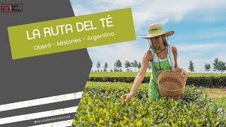 La Ruta del Té un paseo con todos los sentidos  Oberá  Misiones  Argentina [upl. by Alexander]