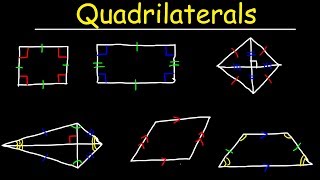 Quadrilaterals  Geometry [upl. by Yahsel]