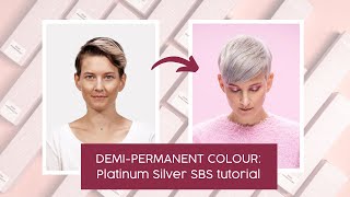 DemiPermanent Colour SBS Tutorial I Platinum Silver I we COLOUR for you [upl. by Eelano]