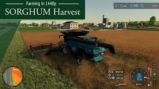 Farming in 1440p  SORGHUM Harvest FS22 Elm Creek No Commentary [upl. by Aihsar]