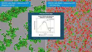 Uncover AntiViral Drug Effects with the xCELLigence Real Time Cell Analysis RTCA eSight [upl. by Annahvas]