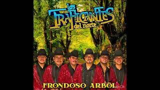 Los Traficantes Del Norte Cumbia Porque RIP Cuco Robles [upl. by Treblih]