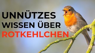 Unnützes Wissen über Rotkehlchen [upl. by Marya504]