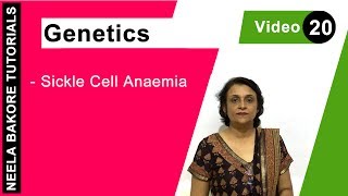 Genetics  Principles of Inheritance amp Variations  NEET  Sickle Cell Anaemia  Neela Bakore [upl. by Christophe131]