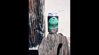 Surreal 17 Mile Porter Non Alcoholic Craft Beer [upl. by Akemaj755]