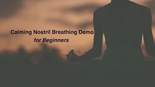 Calming Nostril Breathing Demo [upl. by Harry]