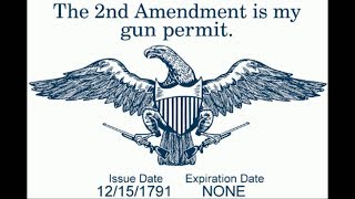 Constitutional Carry Sweeping The Nation [upl. by Sivi]