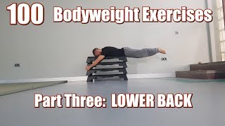 100 BODYWEIGHT EXERCISES NO GYM REQUIRED  LOWER BACK [upl. by Aelber430]