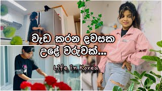 උදේම මගෙන් බැනුම් අහන්නේ කවුද බලන්නකෝ 😁🌸  Morning Vlog  Working Day  sinhala vlog [upl. by Naujud]