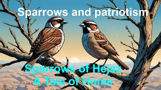 Sparrows and patriotism  Sparrows of Hejaz A Tale of Home [upl. by Esadnac231]