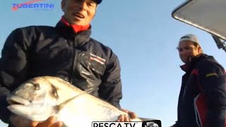 Tecnica di PESCA delle ORATE a BOLENTINO con Marco VOLPI  Peschiamo in barca con le canne  PescaTV [upl. by Odrawde]