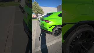 LAMBORGHINI URUS in Verde Selvans Exterior Color shorts watch lamborghini lambo urus cars [upl. by Delmor]