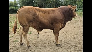 LOT 56  GAEC DE LA PIERRE FOLLE  86 MARNAY [upl. by Dranik]