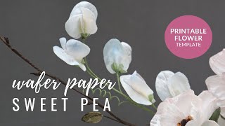 How to make Sweet Pea Flowers for cake decorating using wafer paper  Modern Cakes and Florals [upl. by Betsey487]