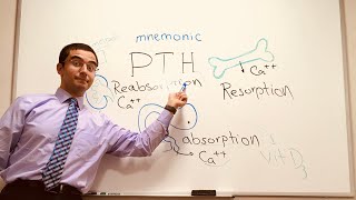 Parathyroid Hormone PTH  a simple Mnemonic [upl. by Laekim484]