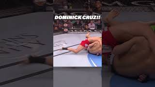 Dominick Cruz is a BEAST ufc ufcfighter [upl. by Isolda525]