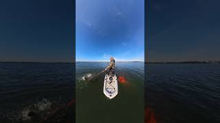 Chasing Winter Faltties fishing flathead hobieasiapacific hobielynx duskyflathead hobiekayak [upl. by Jarek569]