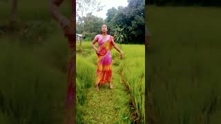 bhojpuri song music dj dance newsonganddancegirl musicgenre newsongnewsong [upl. by Assenaj]