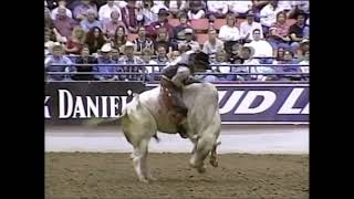 Honker bucks Terry Don West  99 PBR Reno [upl. by Yniffit]