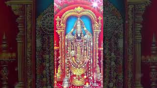 Shri Hari Venkateshwara Mangalam 🙏🌺🌺🙏 blessings balaji venkateswara [upl. by Afaw]