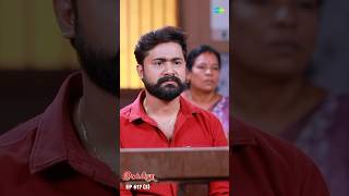 Ilakkiya Serial Shorts  Ep 617  3  Shambhavy Nandhan Sushma Nair  ytshorts shorts [upl. by Langham]