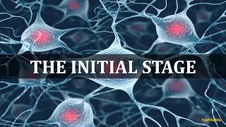 SYMPTOMS OF MOTOR NEURONE DISEASE [upl. by Llehsem]