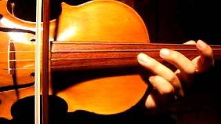 Paganini Caprice No 20 Excerpt Rare Violin Amazing Unusual Sound Sample [upl. by Itoc478]