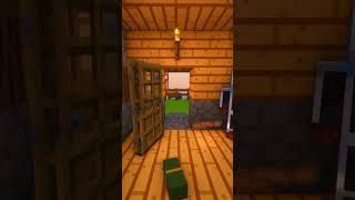 Flashbang Transition minecraft shorts animation fypシ edit [upl. by Nnylkoorb313]