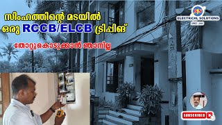 സിംഹത്തിന്റെ മടയിൽ ഒരു RCCB ELCB ട്രിപ്പിങ് [upl. by Noreg320]