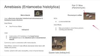 USMLE Pharmacology Misc Parasites [upl. by Niajneb]