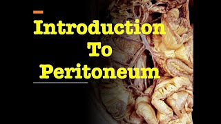 Introduction to Peritoneum [upl. by Gefen]