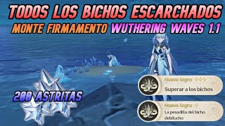 Todos Los BICHOS ESCARCHADOS Monte Firmamento 11 Wuthering Waves Español [upl. by Enehs495]