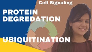 Ubiquitination Proteasome Pathway ll Protein Degradation csirnet gatelifesciences [upl. by Deyas]