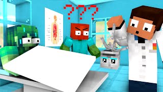 Monster School  SEASON 8 ALL EPISODE  Minecraft Animation [upl. by Laforge]