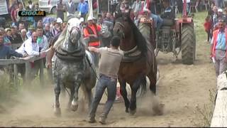 NIKOLA LIZDEK DRINIC 2017 SOKO I BRUNO [upl. by Etep]