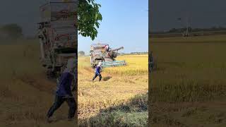 rice harvesting tractor [upl. by Rox156]