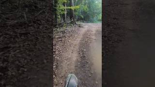 Dirt bike point of view videos kx250f kawasaki dirtbikes gopro trailride pov actioncam [upl. by Aihseket]