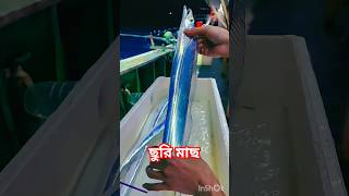 Mastering the Art of Knife Fish Fishing ছুরি মাছ fishing মাছ ধরা trending reel [upl. by Carlita]