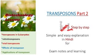 Transposons part 2 [upl. by Janene]