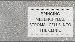 Bringing Mesenchymal Stromal Cells into the Clinic REPROCELL [upl. by Eihtak]